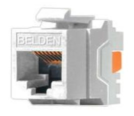 [ACCBEL380] Conector Jack RJ45 CAT6  BELDEN AX101320