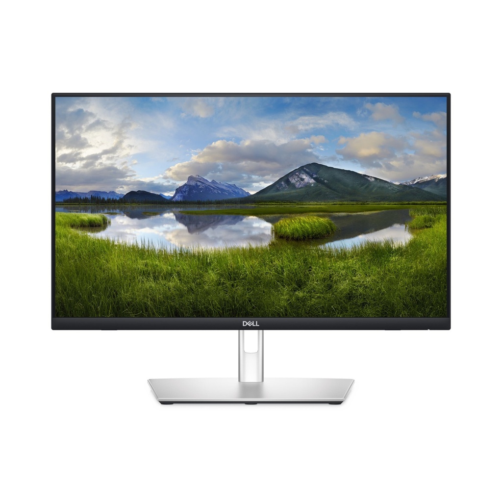 [MONDLL3980] Monitor DELL P2424HT