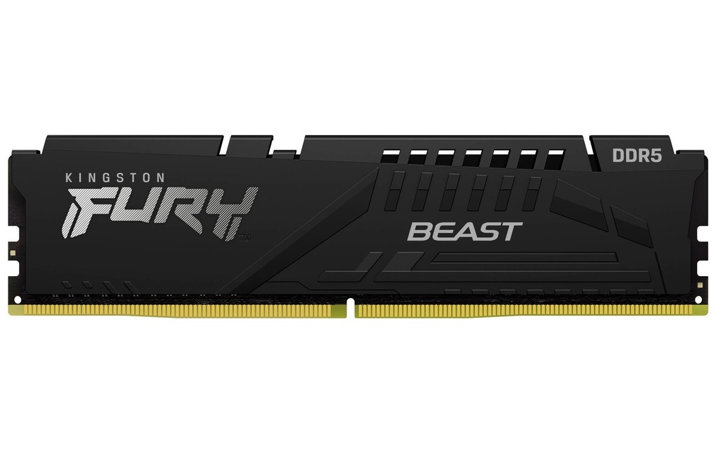 [MEMKGN5580] Memorias RAM Kingston Technology FURY BEAST EXPO