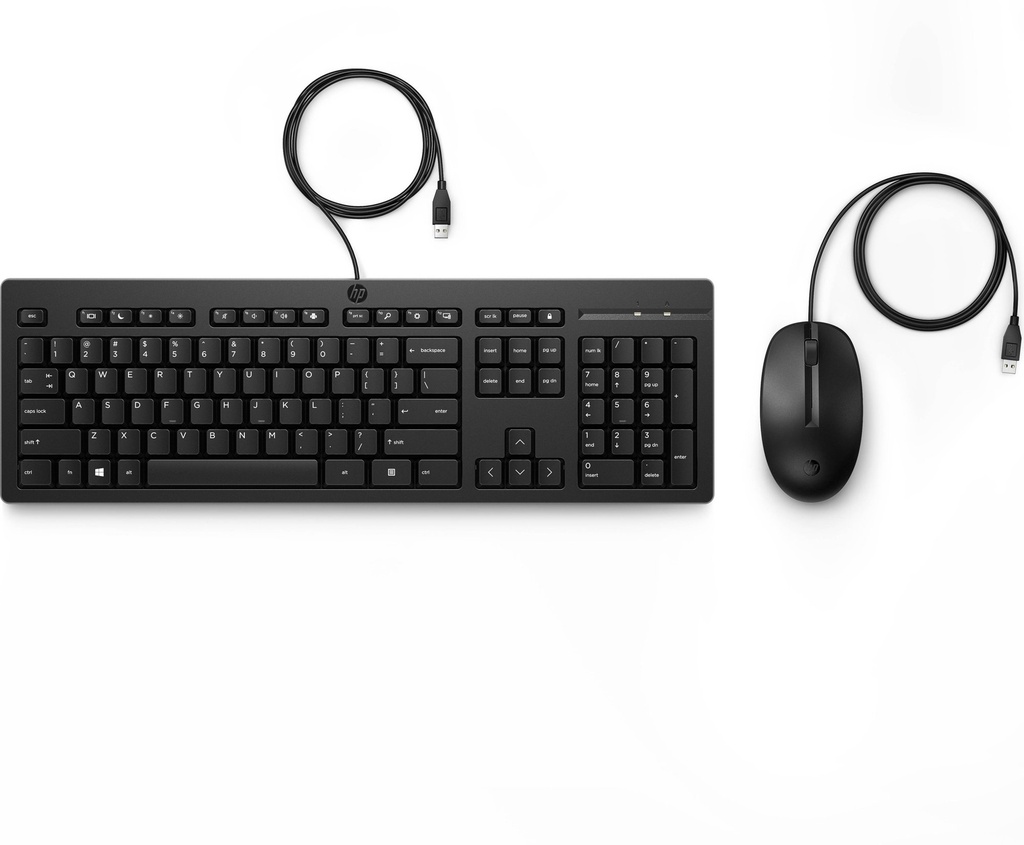 [KITHPI010] Kit de teclado y mouse HP 286J4AA